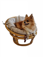 Кресло папасан - мини 23/01Е с подушкой, цвет: мёд. Фото №1