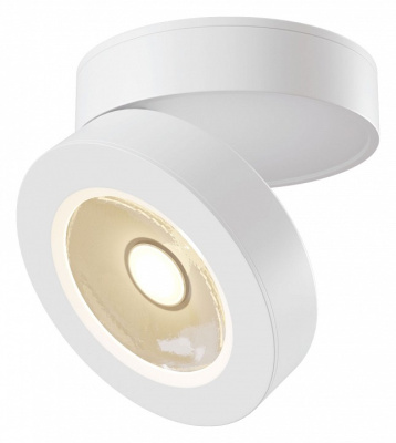 Накладной светильник Maytoni Magic C022CL-L12W. Фото