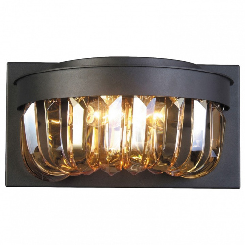 Накладной светильник Favourite Amber 1657-2W. Фото №1