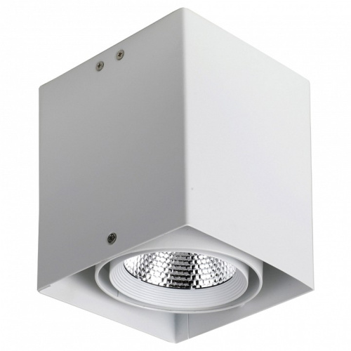 Накладной светильник Favourite Flashled 1986-1U. Фото №1