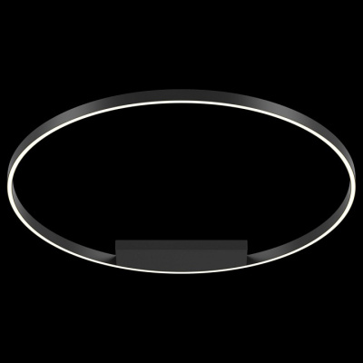 Накладной светильник Maytoni Rim MOD058CL-L65B4K. Фото №2