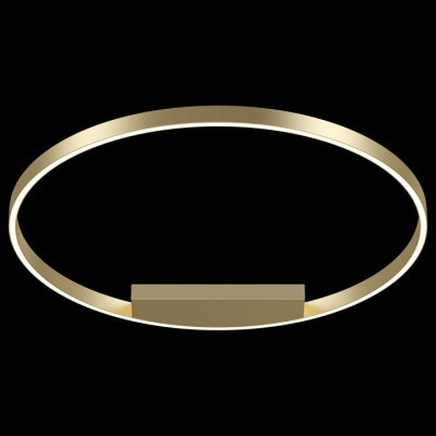 Накладной светильник Maytoni Rim MOD058CL-L50BS4K. Фото