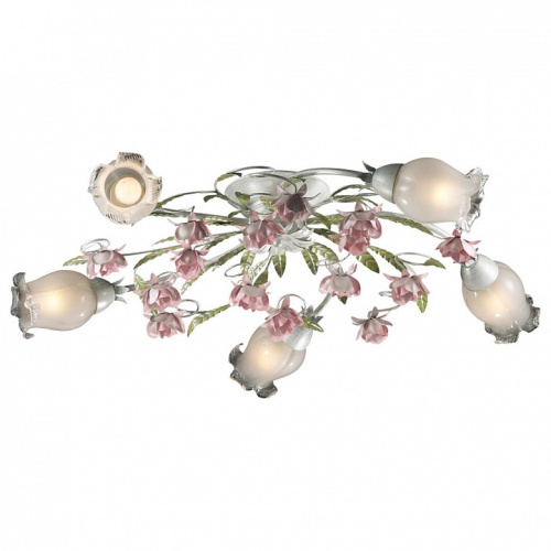 Потолочная люстра Odeon Light Ameli 2252/5C. Фото №1