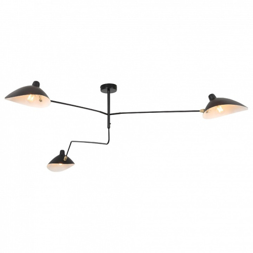 Люстра на штанге ST-Luce Spruzzo SL305.402.03. Фото №1